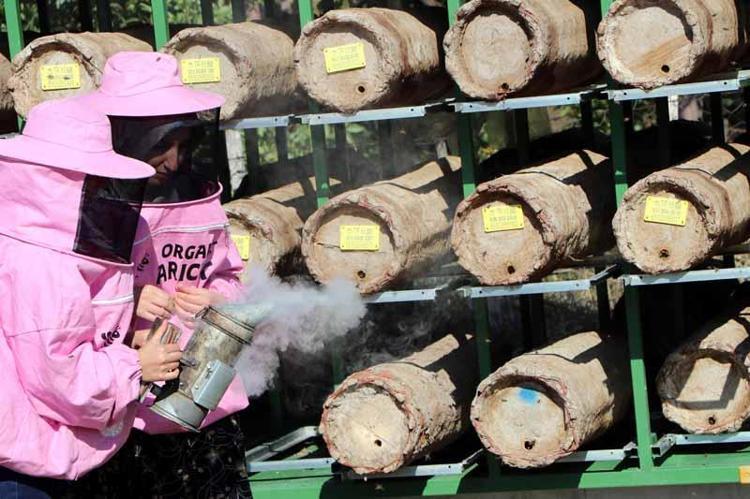 KOVANLAR İÇİN 900 BİN LİRA BÜTÇE AYRILDI