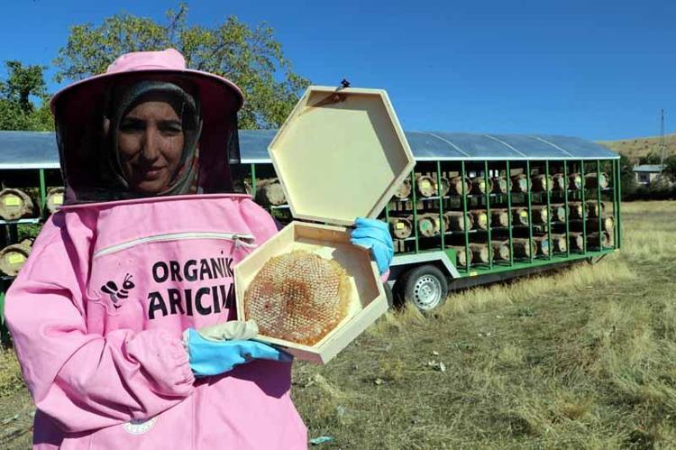 İYİ VE YÜKSEK VERİM ALDIK