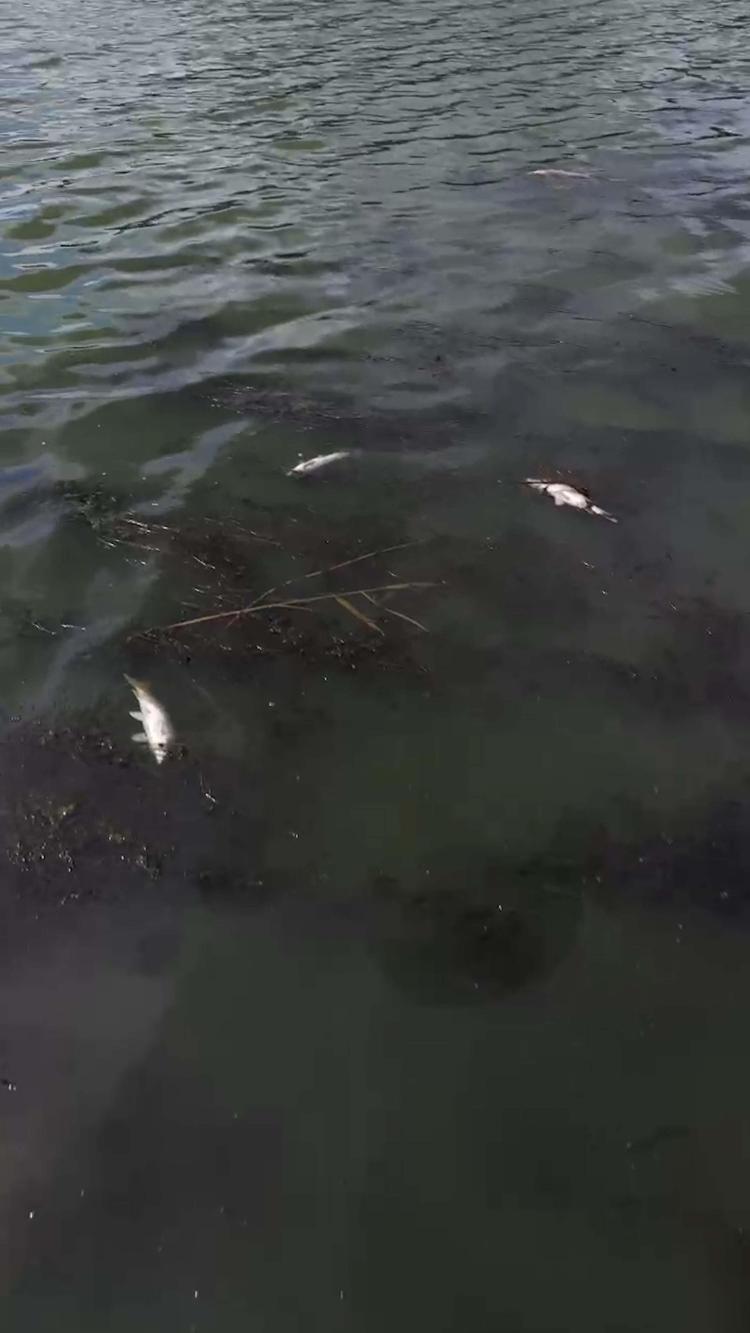 AĞIR METAL KALINTISI TESPİT EDİLEMEMİŞTİR