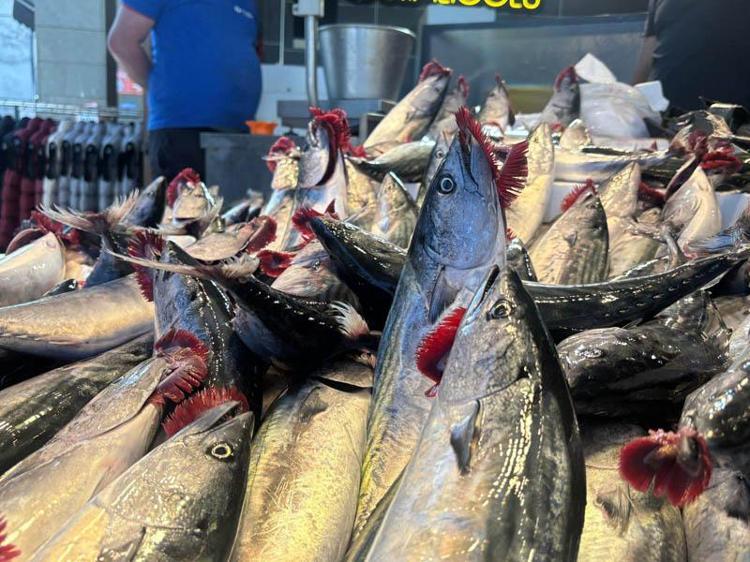 ‘AFAKİ FİYATLAR YOK’