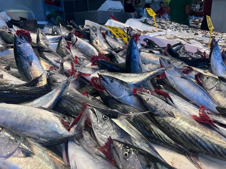 ‘KİMSE BALIK PAHALIDIR, DEMESİN’