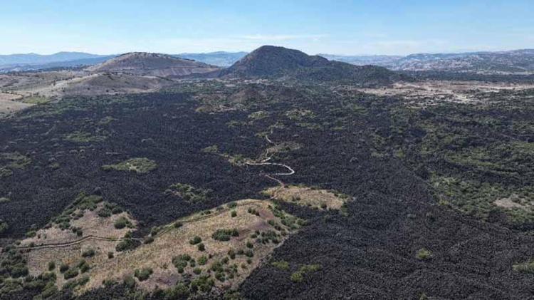 2320 KİLOMETREKARE ALANA SAHİP