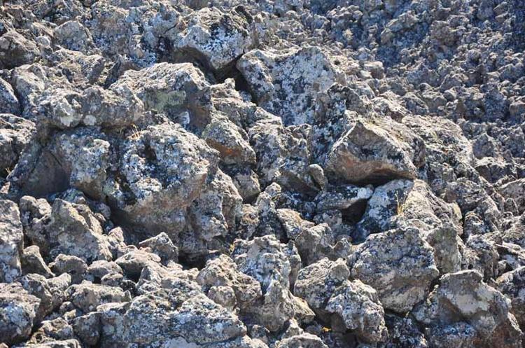 TÜRKİYENİN EN GENCİ, 10 BİN YILLIK