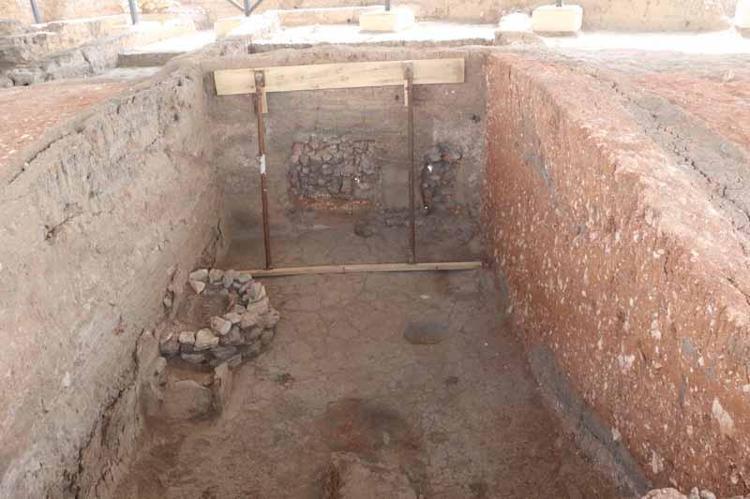 GÖBEKLİTEPE VE ÇATALHÖYÜK’TE DE BULUNDU