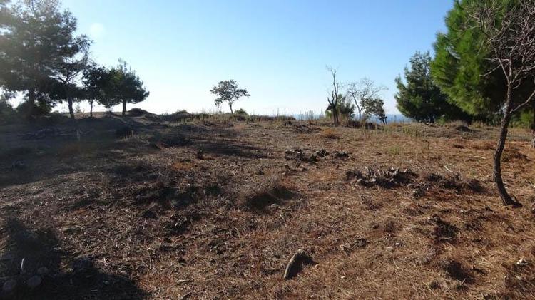 KIYMETLİ BİRER TARİHİ VESİKA