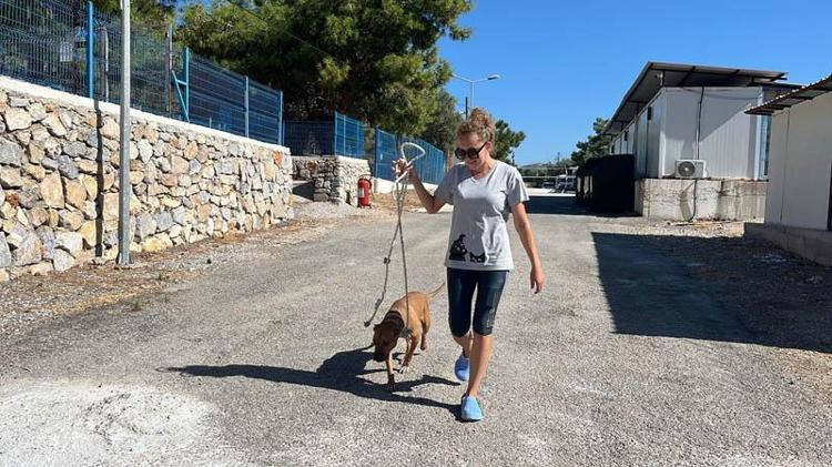 BURADAKİ HER KÖPEĞİ TANIYORUM