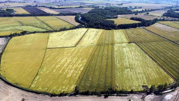 HER YERDE SAYGIYLA KARŞILANIYORUZ