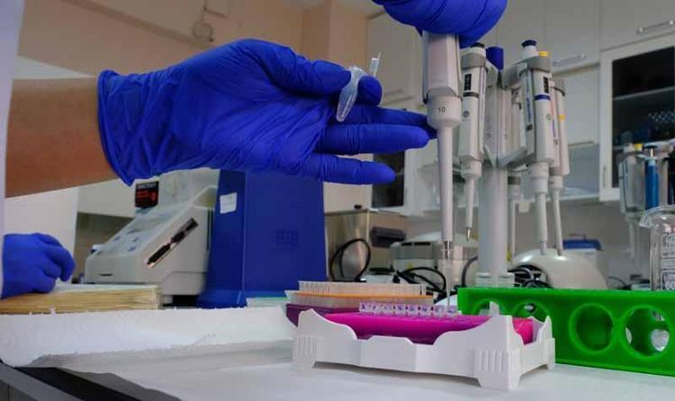 GEN KAYNAKLARININ İSTENİLEN VERİMDE TUTULABİLMESİ AÇISINDA CİDDİ RİSKLER