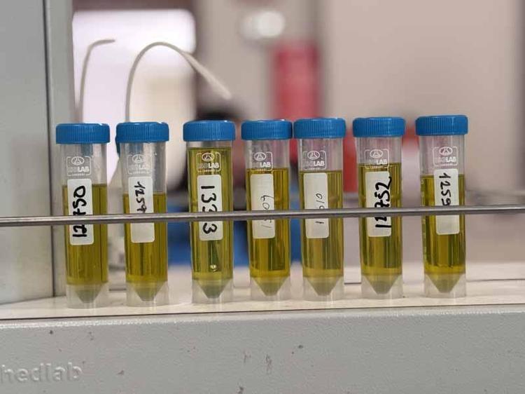 HAKSIZ CEZANIN ÖNÜNE GEÇMEK İÇİN HASSASİYETİ YÜKSEK TUTUYORUZ