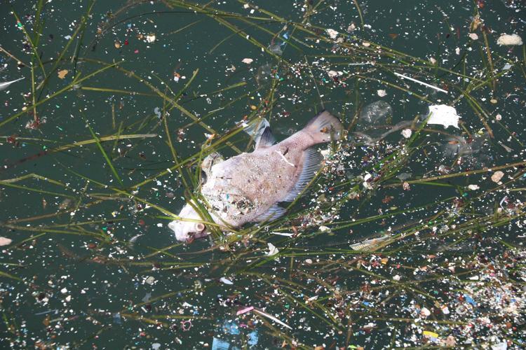 ESKİ HALİNİ ALMASI KISA SÜREDE OLMAYACAK