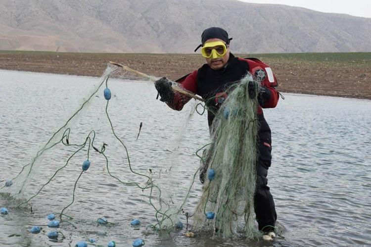 DÜNYADA ENDER BULUNAN BİR TÜR