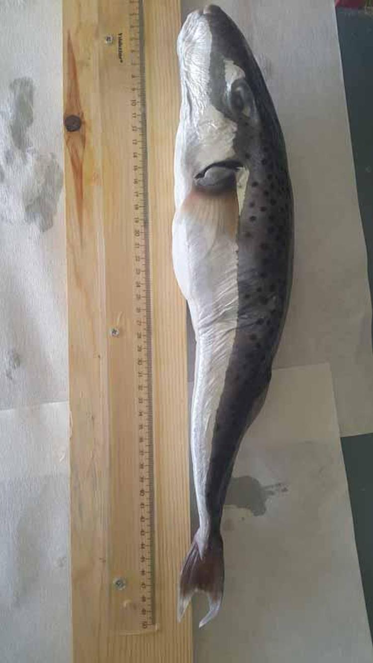 SONBAHAR VE KIŞ AYLARINA DİKKAT