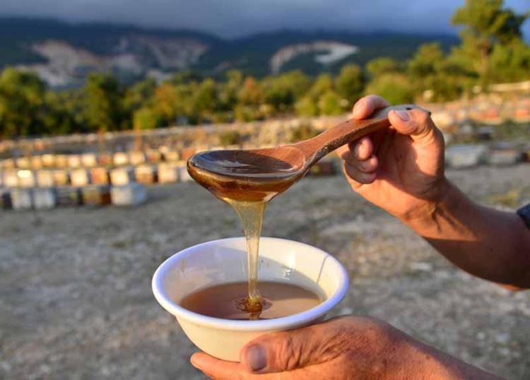 ARICILAR DA İSTEMİYOR