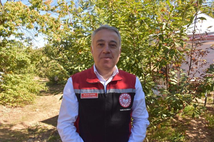 BÜYÜK BİR GELİR KAPISI