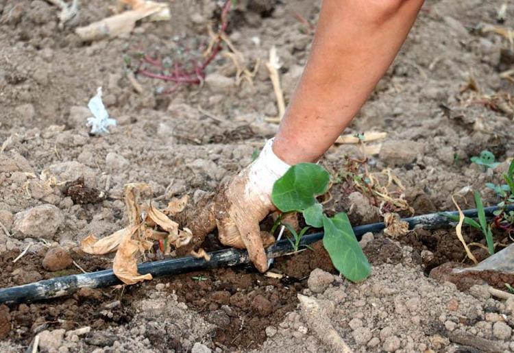 ‘ÇİFTÇİLERİMİZ ÇOK BÜYÜK MAĞDURİYET YAŞADI’