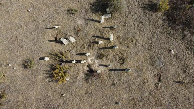 ACİLEN KORUNMAYA ALINMALI