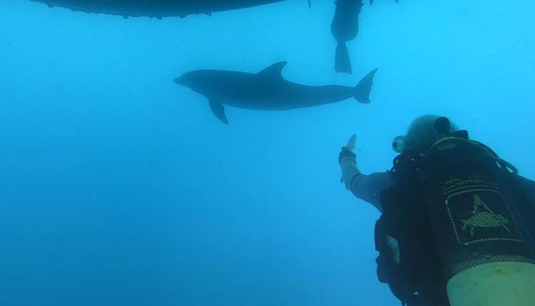 BALIKÇILARIMIZ BU TÜR YEMLERİ ÇOK KULLANIYOR