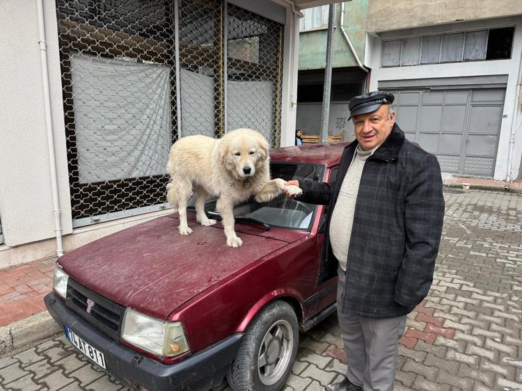 ‘GÖRENLER ÇOK ŞAŞIRIYOR, NASIL EĞİTTİN DİYE SORUYORLAR’