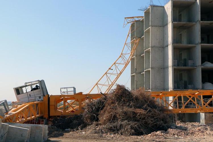 KOMŞU, ARKADAŞ OLDUKLARI ORTAYA ÇIKTI