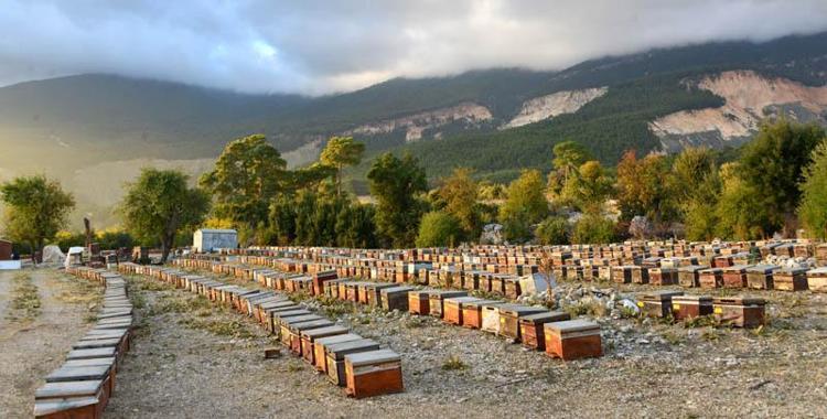 İPTAL KARARI KÖYLÜLERİ SEVİNDİRDİ