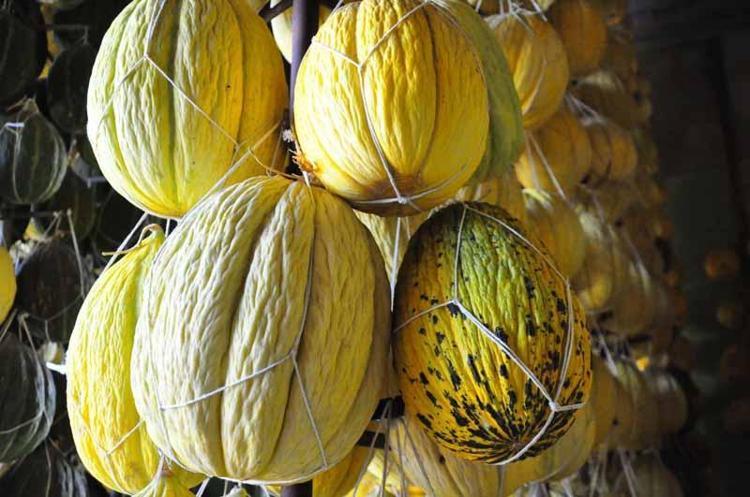 COĞRAFİ İŞARET ÇALIŞMALARIMIZ SÜRÜYOR