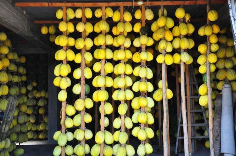 SARI DİLİMLİ DAHA ÇOK TÜKETİLİYOR