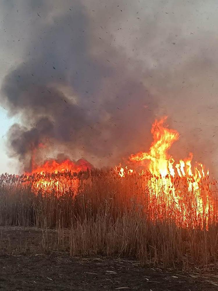 YÜZEYSEL SOĞUTMA YAPILSA DAHİ YANGINA ETKİ ETMEYECEK