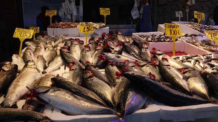 HAMSİ GEÇEN HAFTAYA GÖRE DAHA İRİ