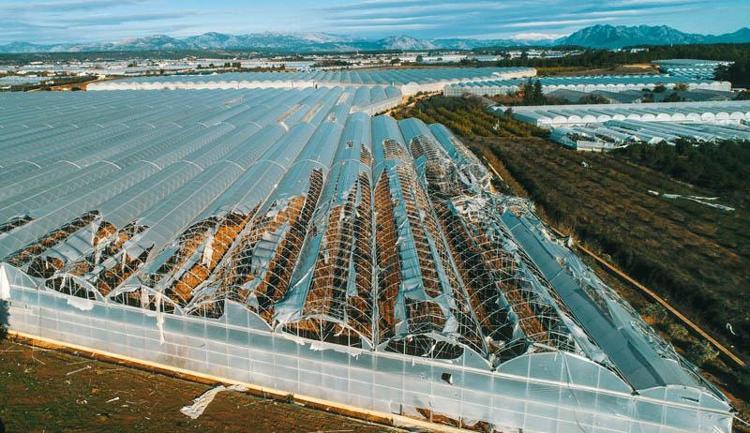 4 DÖNÜM SERASI KOMPLE YIKILDI