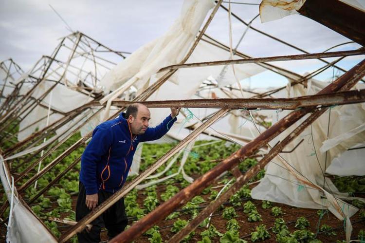 TARSİM TESPİTLERİ DEVAM EDİYOR