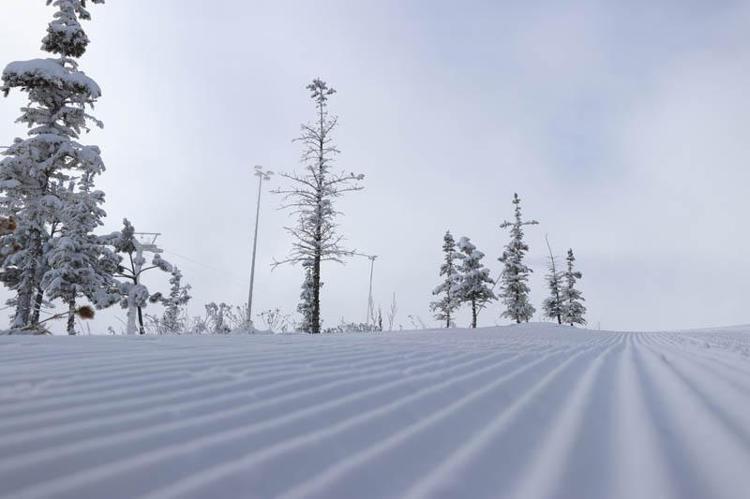 200 BİNİN ÜZERİNDE ZİYARETÇİ BEKLİYORUZ