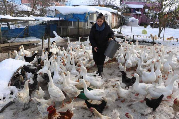 ‘AMACIMIZ BİR İŞLETME OLMAK’