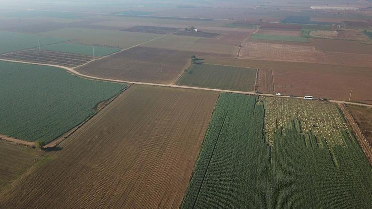 ÜRÜN ÇEŞİTLERİ DEĞİŞİYOR