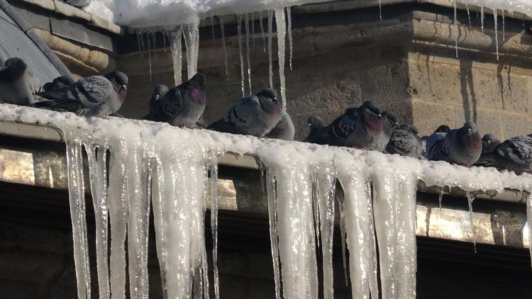 DİĞER KENTLERDE HAVA SICAKLIKLARI