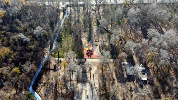 ‘HİÇBİR AĞAÇ KESİLMEDİ