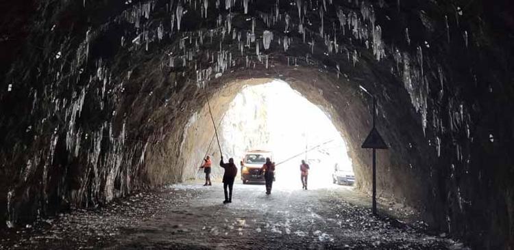 1,5-2 METRE UZUNLUĞUNDA SARKITLAR