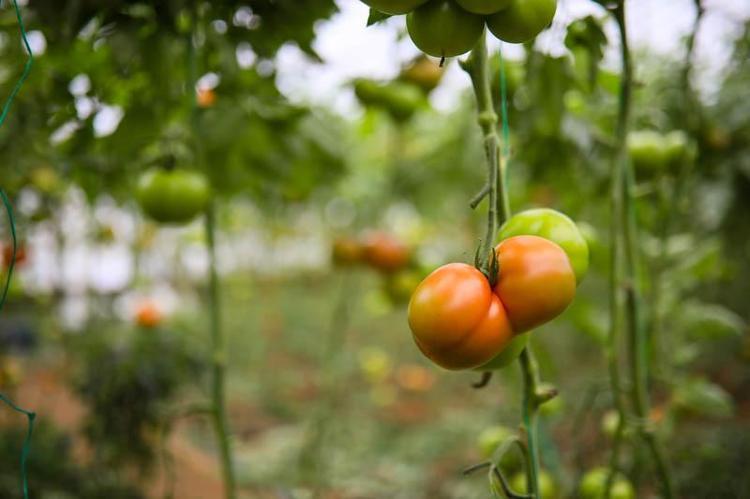 ‘KREDİ KARTI ÖDEMESİ İÇİN MARKETLER TERCİH EDİLİYOR’