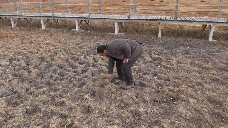 BÖLGEDEKİ DOĞAL DENGE BOZULUYOR