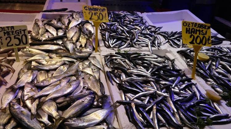 ‘HAMSİ İRİLEŞTİ VE LEZZETİ ARTTI’