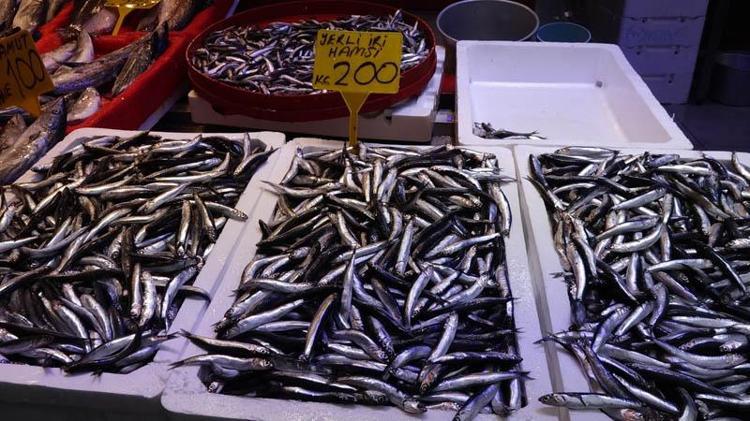 ‘BÖYLE BİR FIRSAT BULUNMAZ’