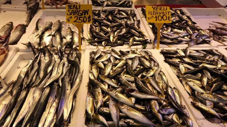 ‘HAMSİNİN KULAĞINA KAR SUYU KAÇTI’