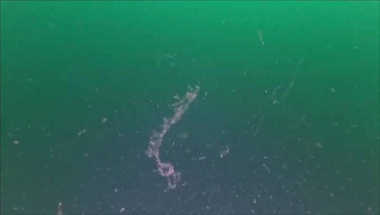 ‘BU MODELLERİN ÇALIŞMADIĞINI NE YAZIK Kİ TECRÜBE EDİYORUZ’