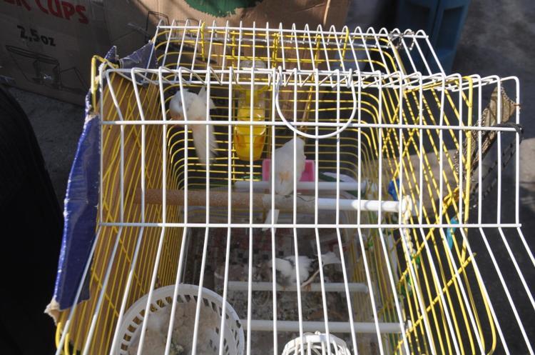 TÜRKİYE’YE TEŞEKKÜR EDERİZ