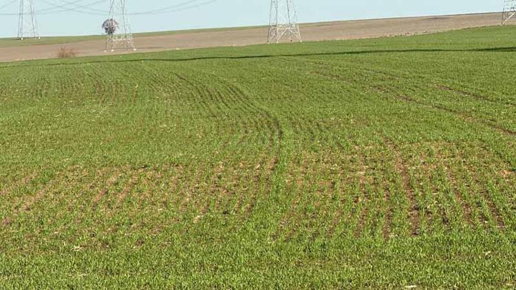 BULGARLAR VE ABD İLE PROJE HAZIRLIĞI AŞAMASINDAYIZ