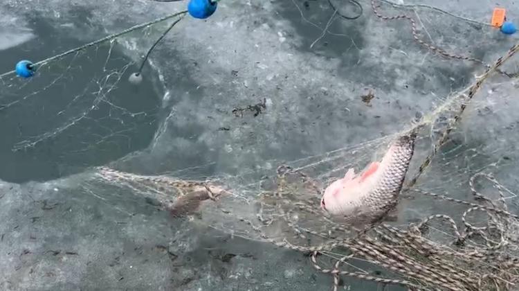 KEFAL, KIZILKANAT VE KARA SAZAN