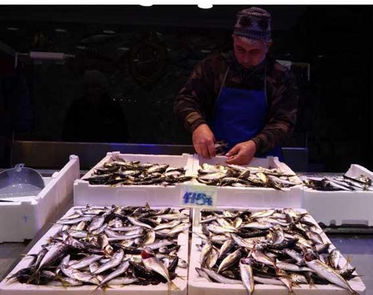 ‘BU YIL BALIĞA DOYDUK’