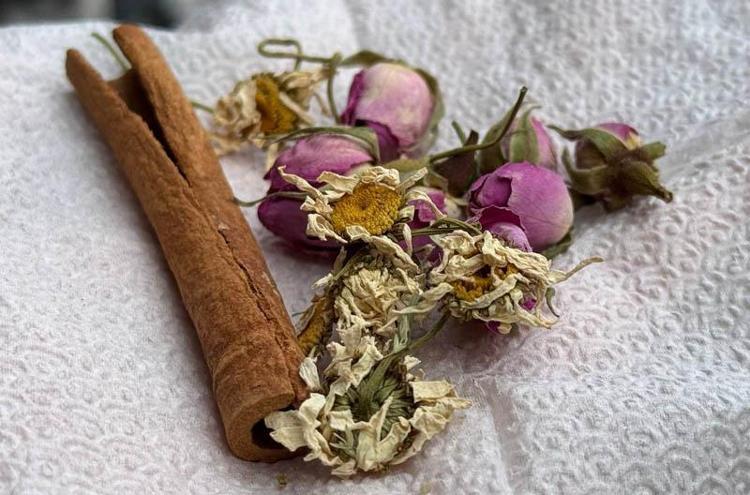 DOĞRU KURUTULMAYAN BİTKİ, ZEHİRLİYOR