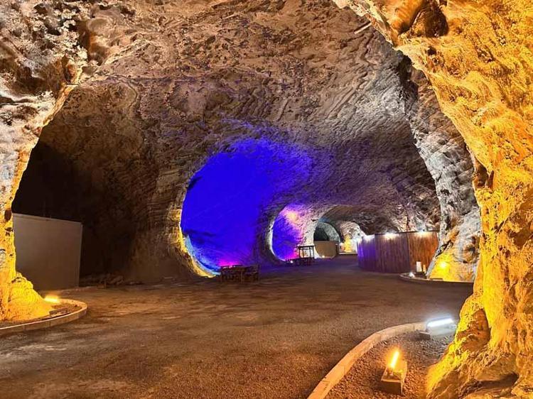 ANNESİNİ GETİRİYOR