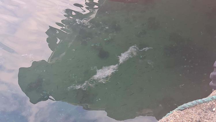 BALIKÇI TEKNESİNİN VİNCİ KIRILDI, AĞLARI YIRTILDI