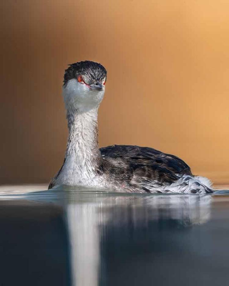 ÜYE SAYISI 100Ü AŞTI